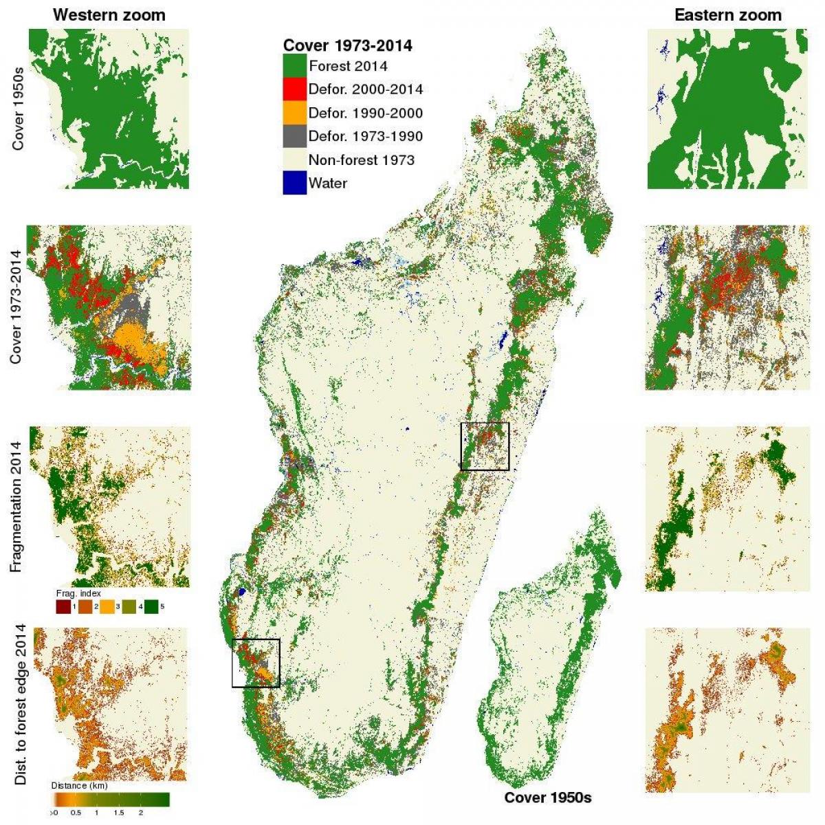 Madagaskar ormanların göster 