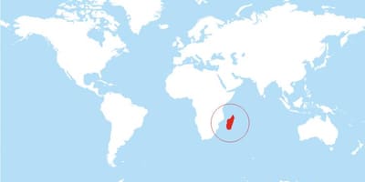 Dünya üzerinde Madagaskar konumu göster 